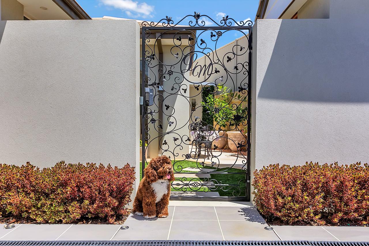 Lavender Manor Bnb Panzió Alkimos Kültér fotó